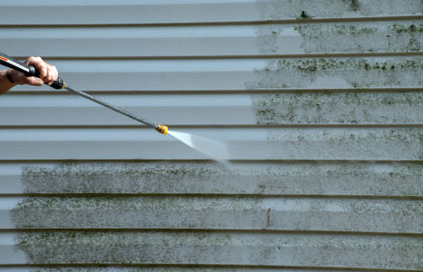 Best Professional Mold Removal  in Liberal, KS