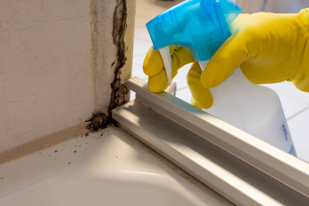Best Mold Testing  in Liberal, KS