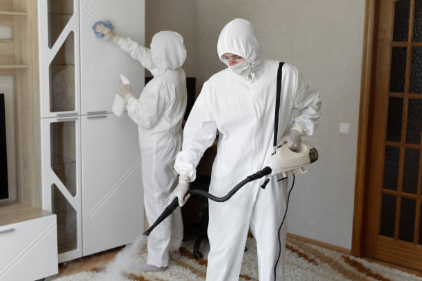 Home Mold Removal in Liberal, KS