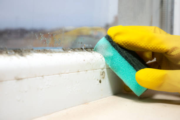 Best Crawl Space Mold Removal  in Liberal, KS