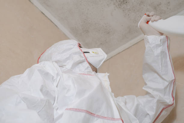 Best Mold Cleaning Services  in Liberal, KS