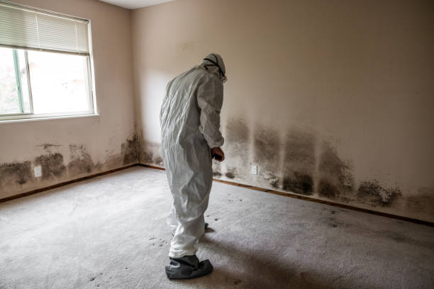 Best Toxic Mold Removal  in Liberal, KS