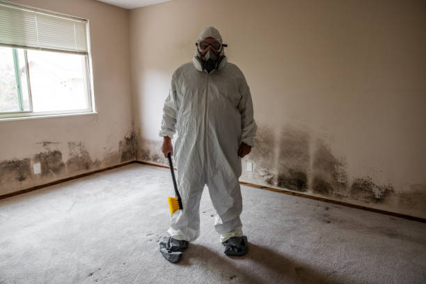 Best Residential Mold Removal  in Liberal, KS